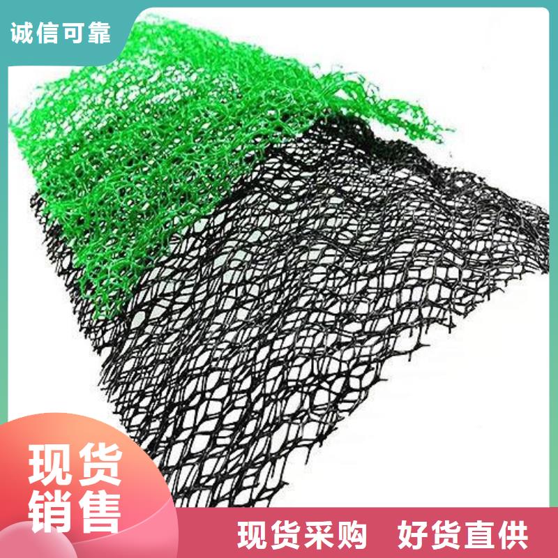 【三维植被网】涤纶土工格栅经验丰富质量放心