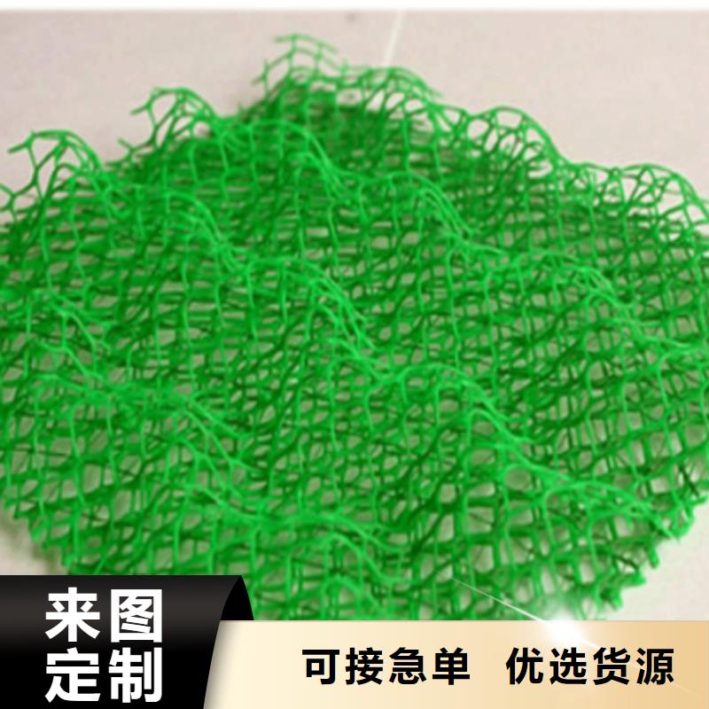 三维植被网,玻纤土工格栅厂家定制