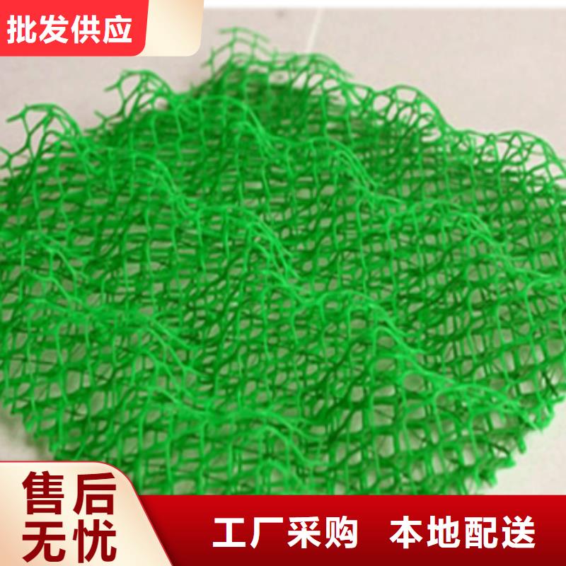 三维植被网涤纶土工格栅来图加工定制