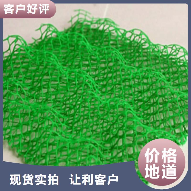 【三维植被网护坡土工网来电咨询】