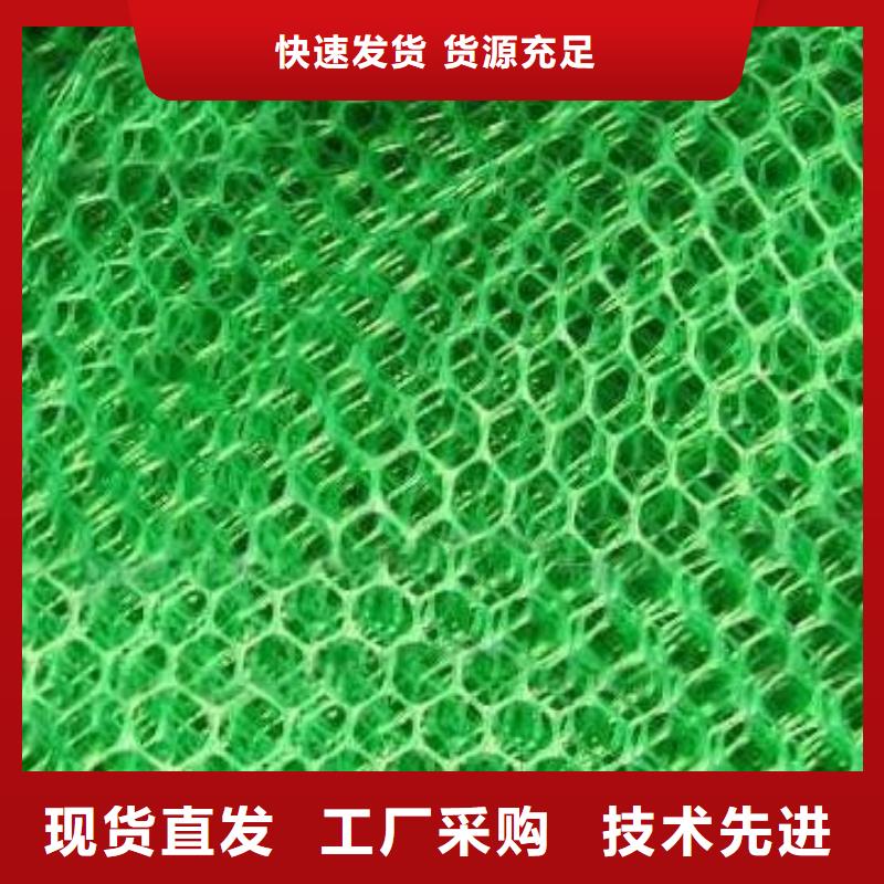 【三维植被网】涤纶土工格栅经验丰富质量放心