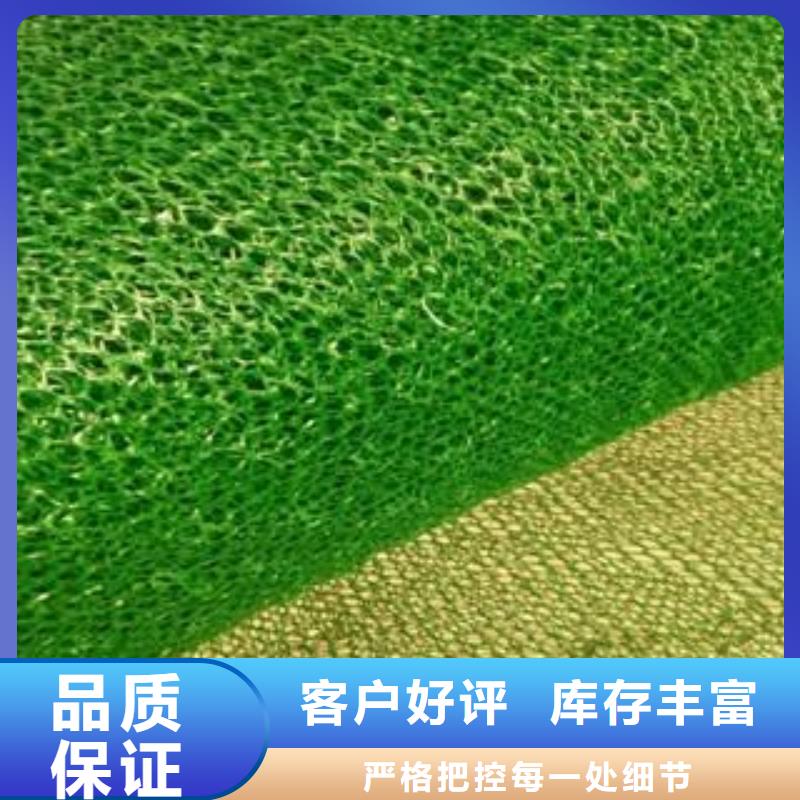 【三维植被网】涤纶土工格栅经验丰富质量放心