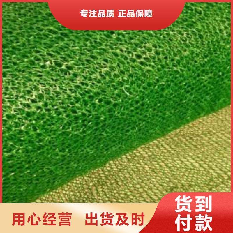 【三维植被网-三维复合排水网好厂家有担当】