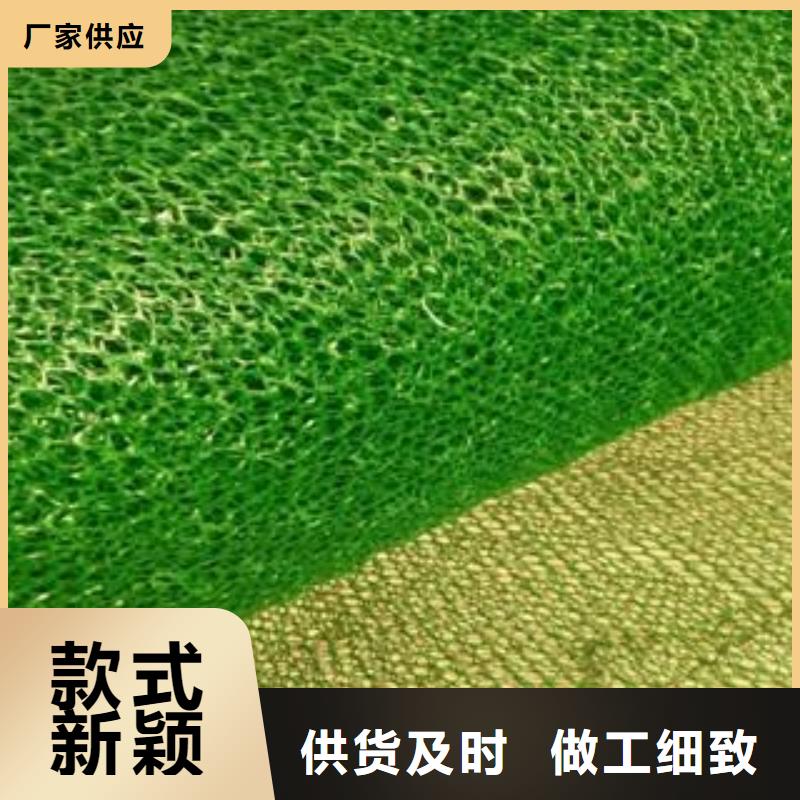 三维植被网双向塑料土工格栅批发商