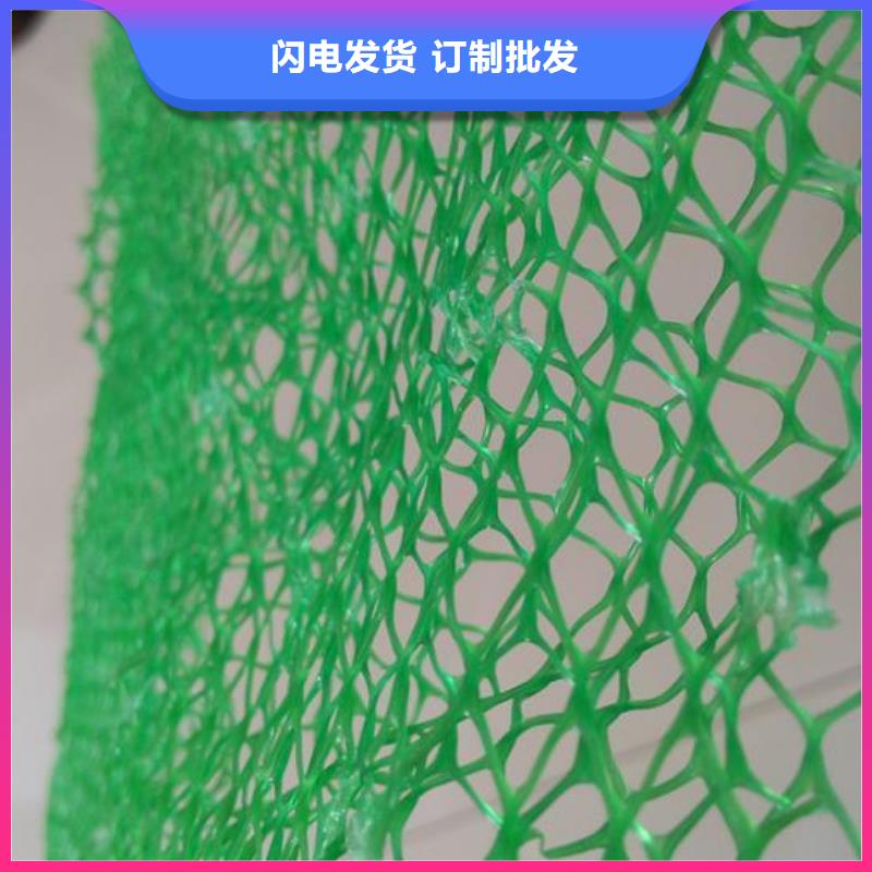 【三维植被网】涤纶土工格栅经验丰富质量放心