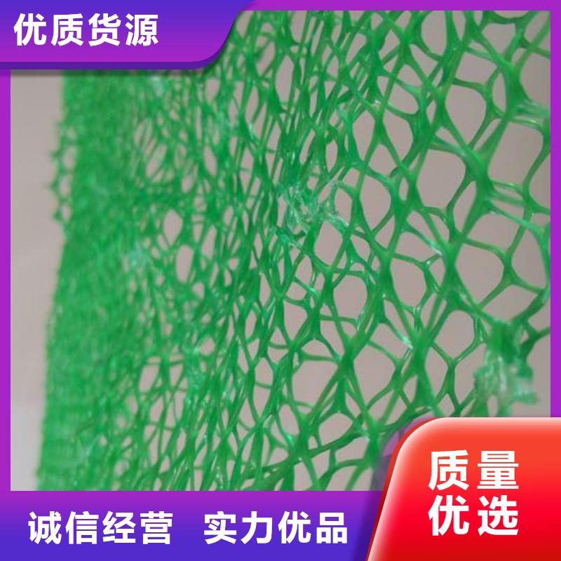 三维植被网渗排水片材批发价格