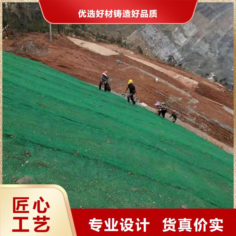 【三维植被网,长丝土工布长期供应】