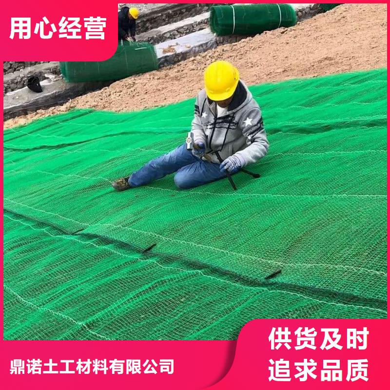 三维植被网单向拉伸塑料格栅厂家销售
