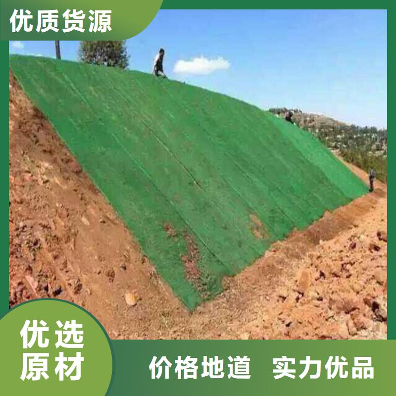 三维植被网【钢塑土工格栅】符合标准
