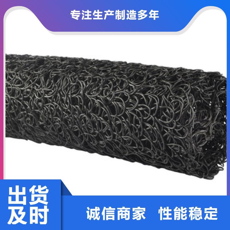 塑料盲沟水土保护毯品牌专营
