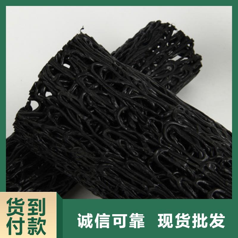 【塑料盲沟三维复合排水网厂家批发价】