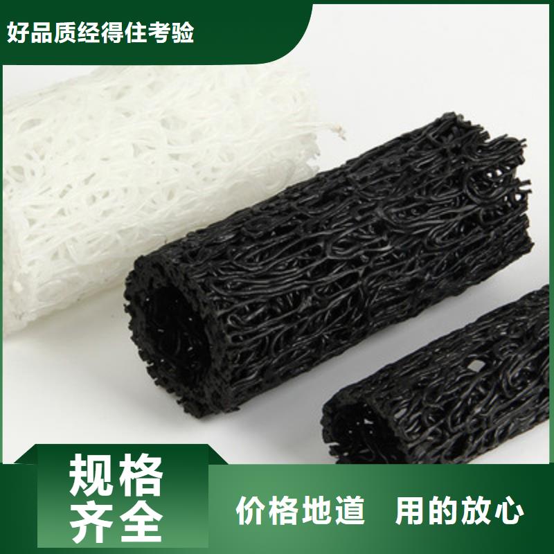 塑料盲沟双向塑料土工格栅定制不额外收费