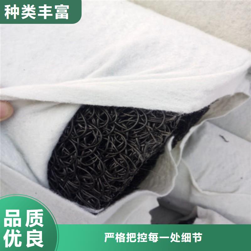 塑料盲沟【水土保护毯】随到随提