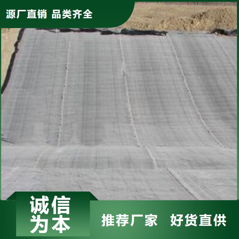 膨润土防水毯_长丝土工布种类丰富