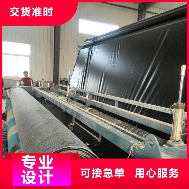 膨润土防水毯凸结点钢塑土工格栅厂家质量过硬