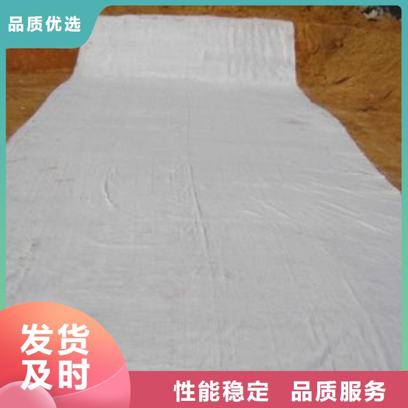 【膨润土防水毯三维复合排水网用心细节】