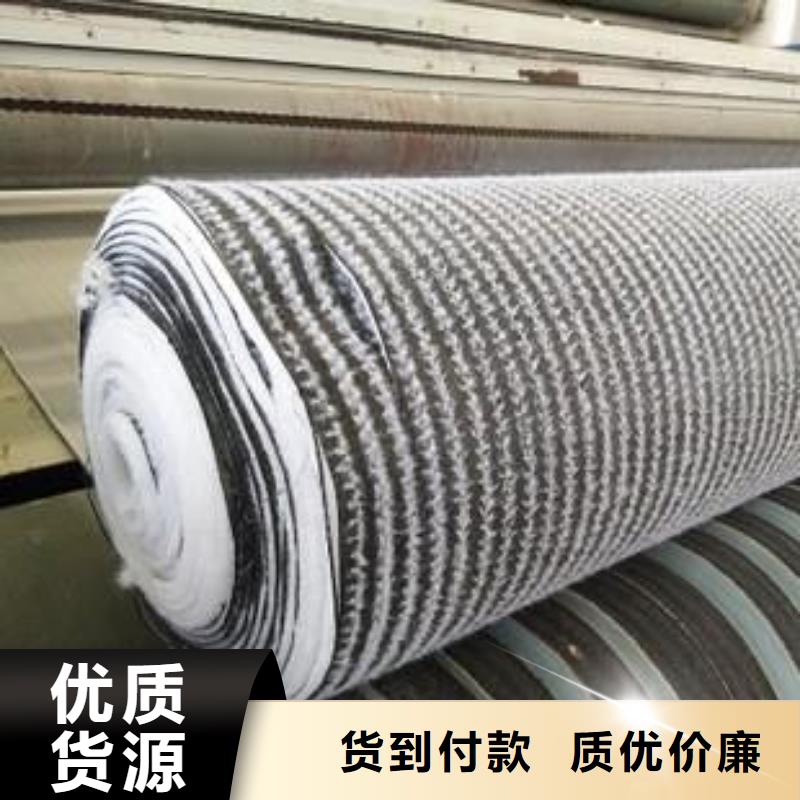 膨润土防水毯_土工席垫同行低价