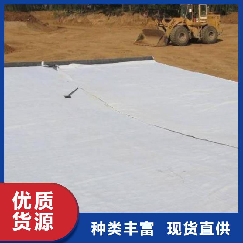 【膨润土防水毯涤纶土工格栅实力厂家直销】