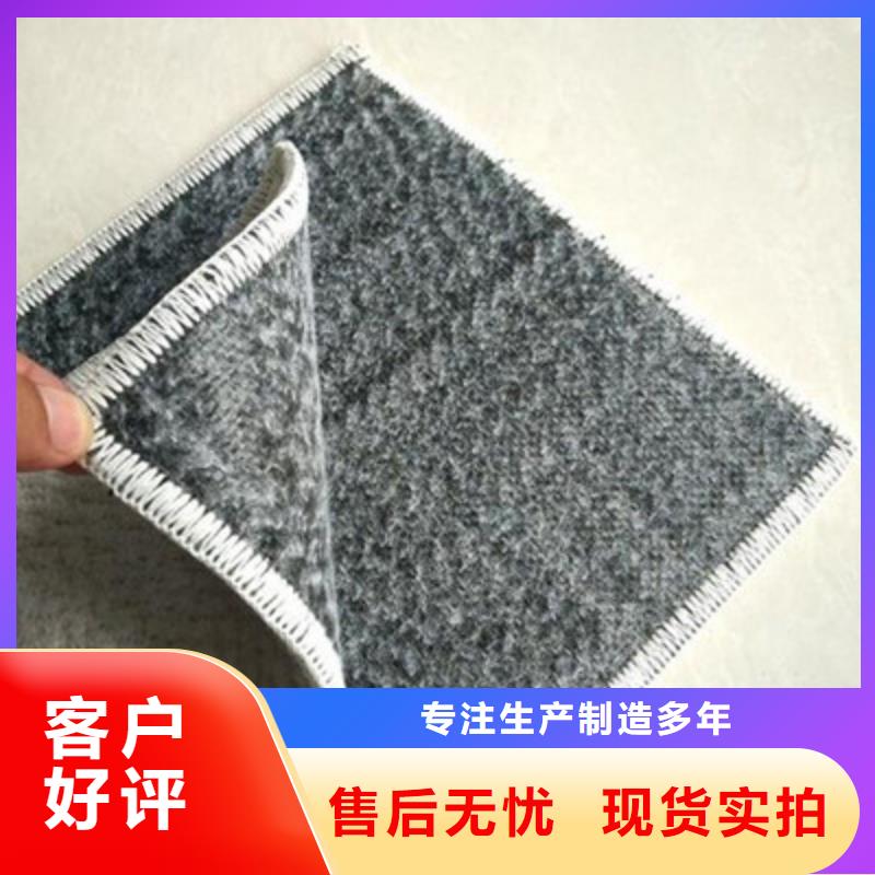 膨润土防水毯玻纤土工格栅匠心品质