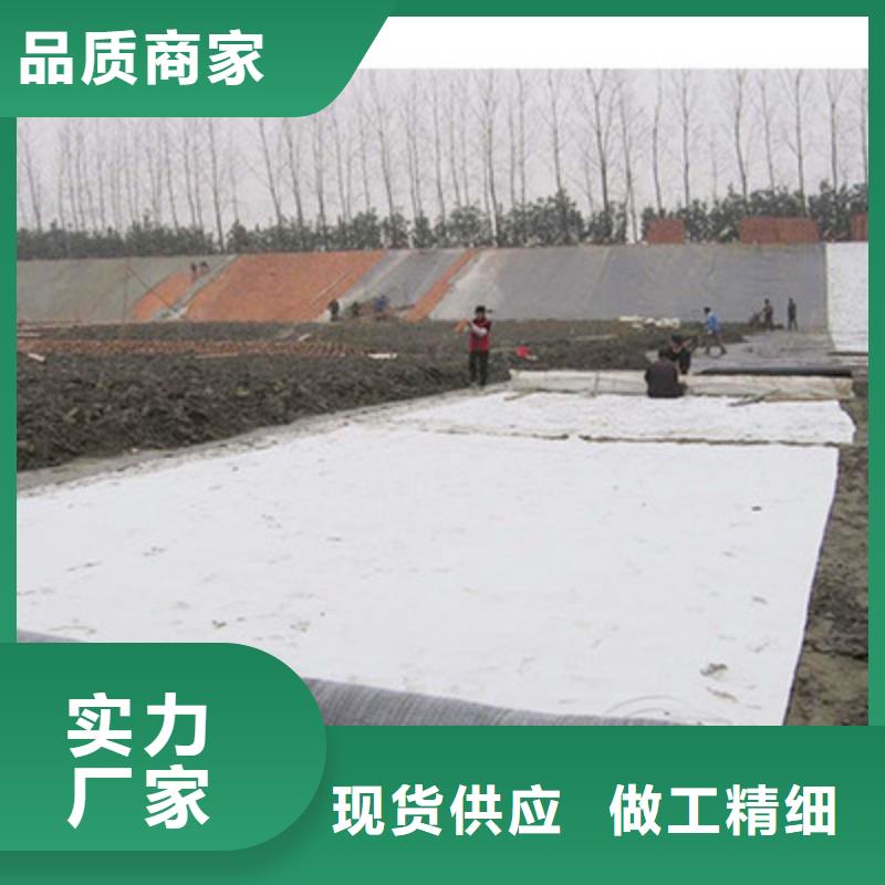 【膨润土防水毯三维土工网垫大量现货供应】