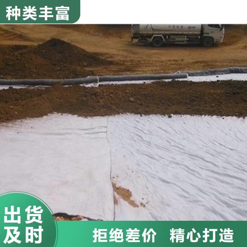 膨润土防水毯_长丝土工布种类丰富