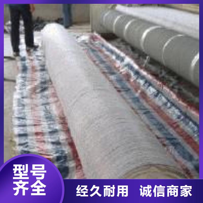 【膨润土防水毯三维复合排水网用心细节】