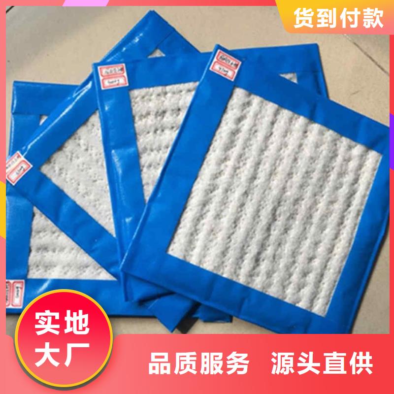 膨润土防水毯【PP焊接土工格栅】甄选好厂家