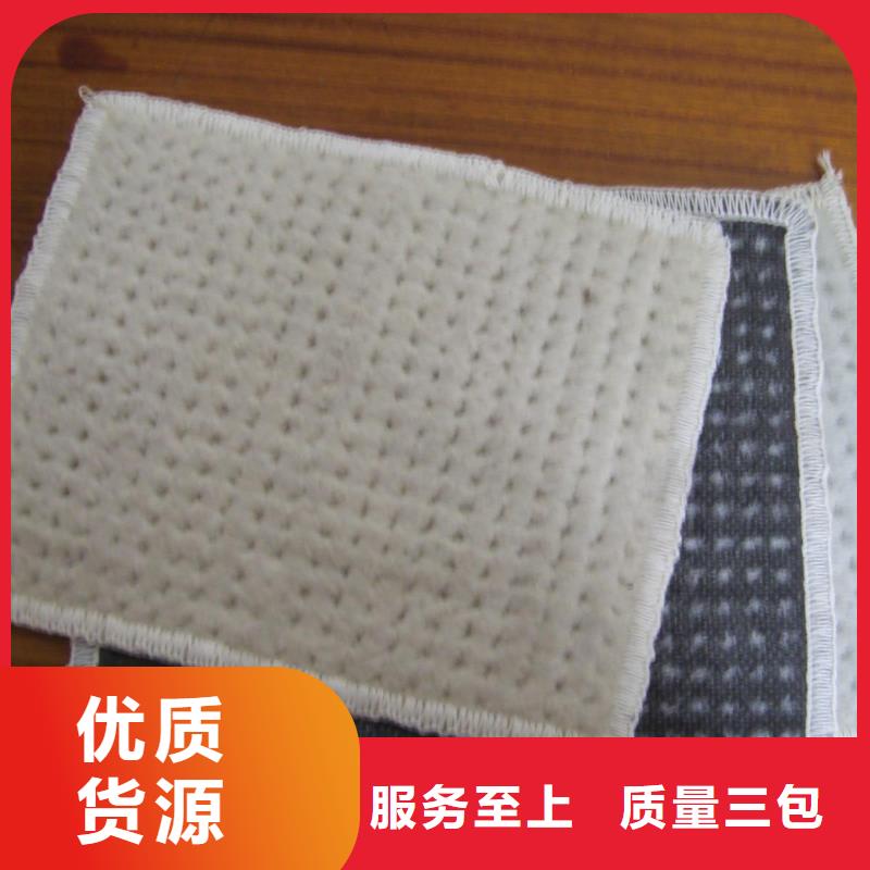 【膨润土防水毯三维土工网垫大量现货供应】