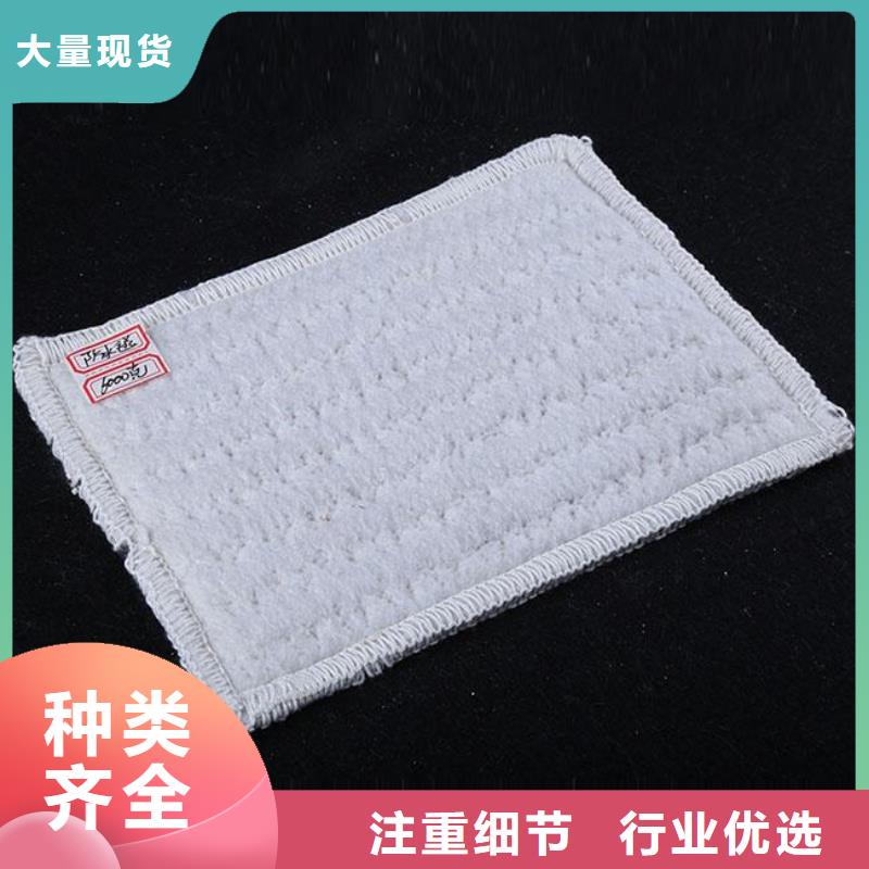 膨润土防水毯_土工席垫同行低价