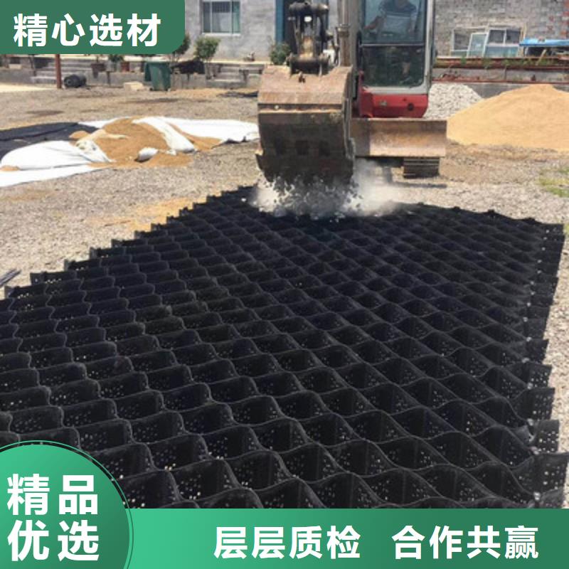土工格室,凸结点钢塑土工格栅量少也做