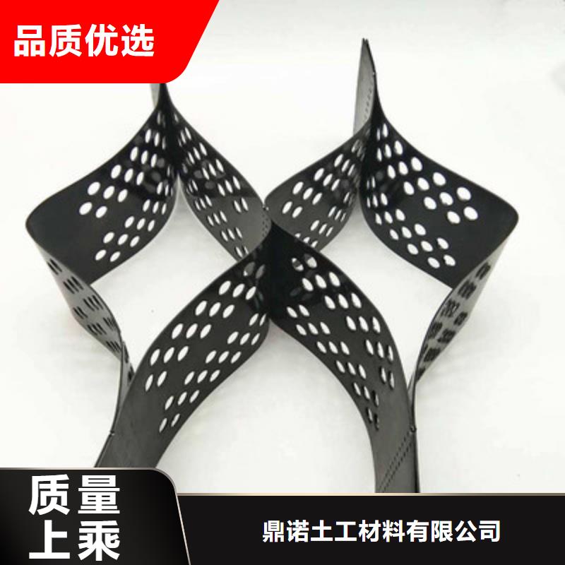 土工格室_护坡土工网大品牌值得信赖