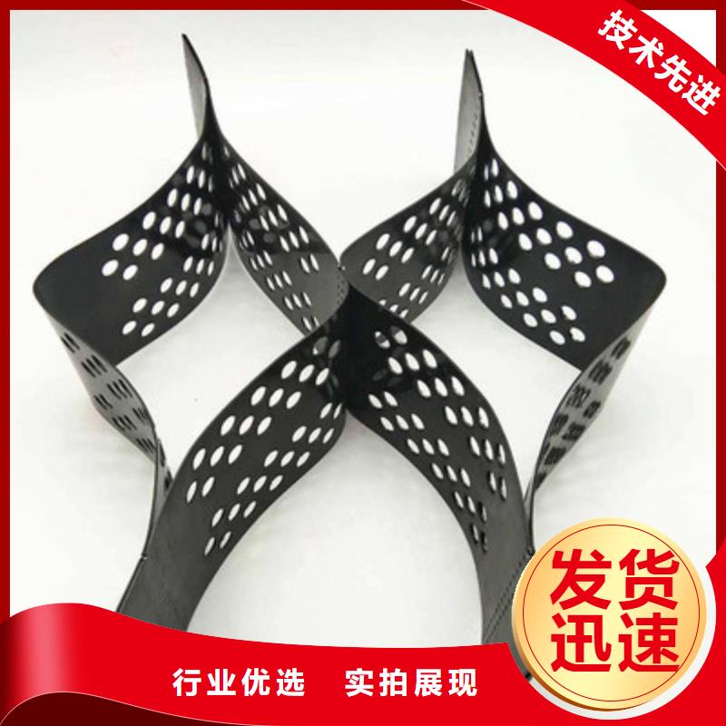 土工格室【双向拉伸土工格栅】厂家自营