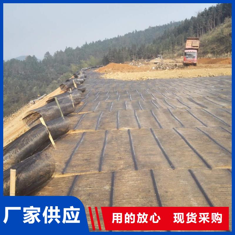 钢塑土工格栅_【护坡土工网】源头实体厂商