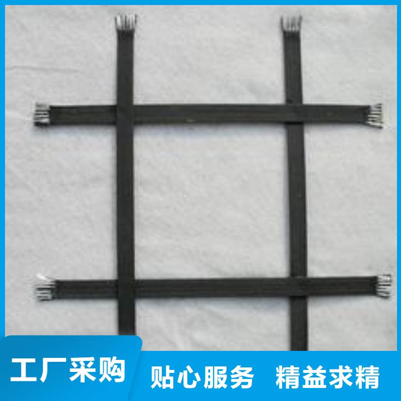 钢塑土工格栅-【双向塑料土工格栅】厂家品控严格