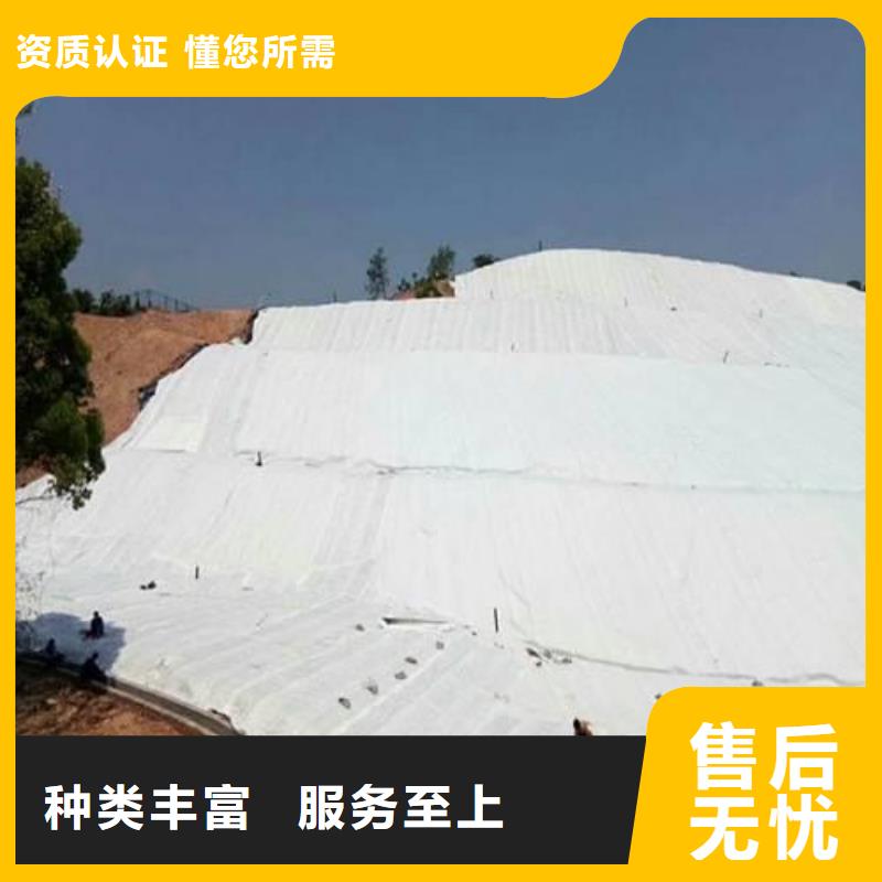 【土工布】涤纶土工格栅定金锁价