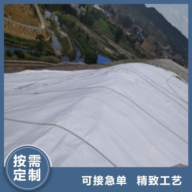 土工布双向塑料土工格栅专业的生产厂家