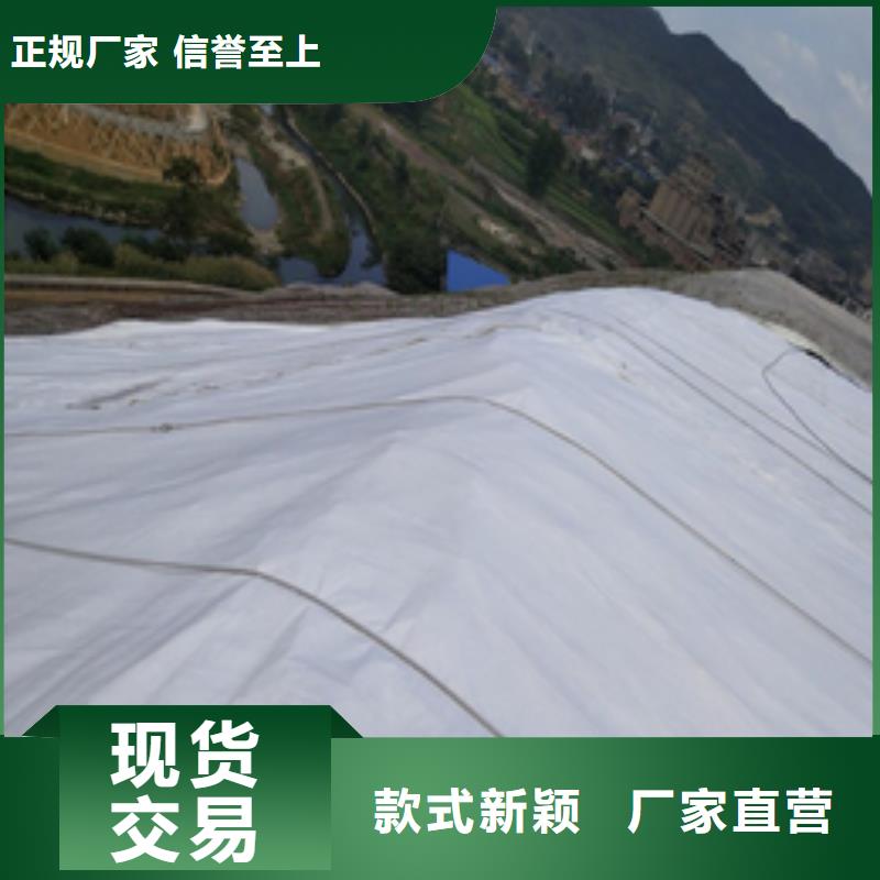 【土工布】涤纶土工格栅定金锁价
