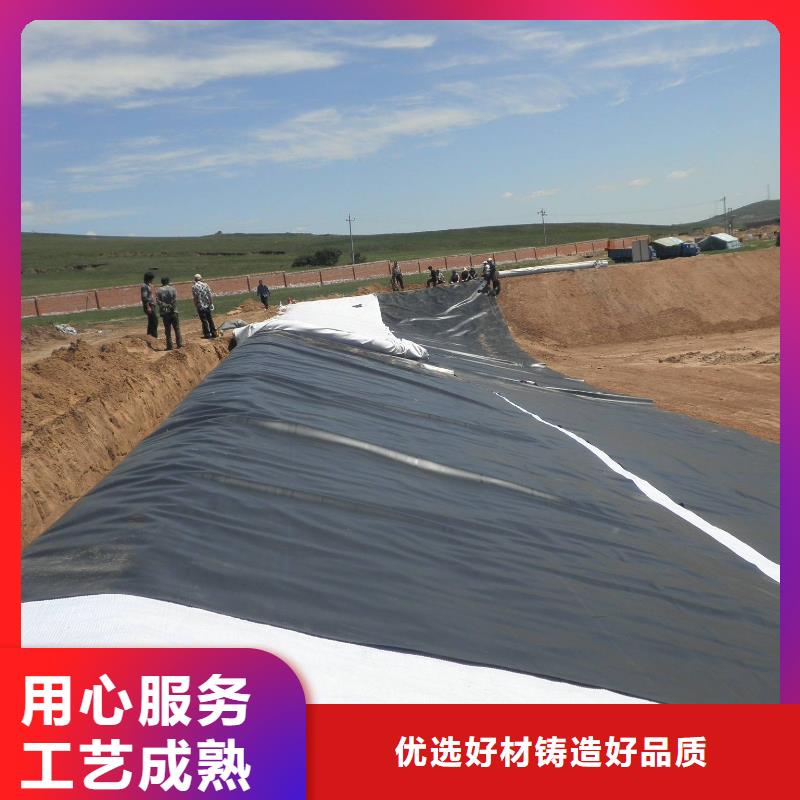 土工布膨润土防水毯厂家供应