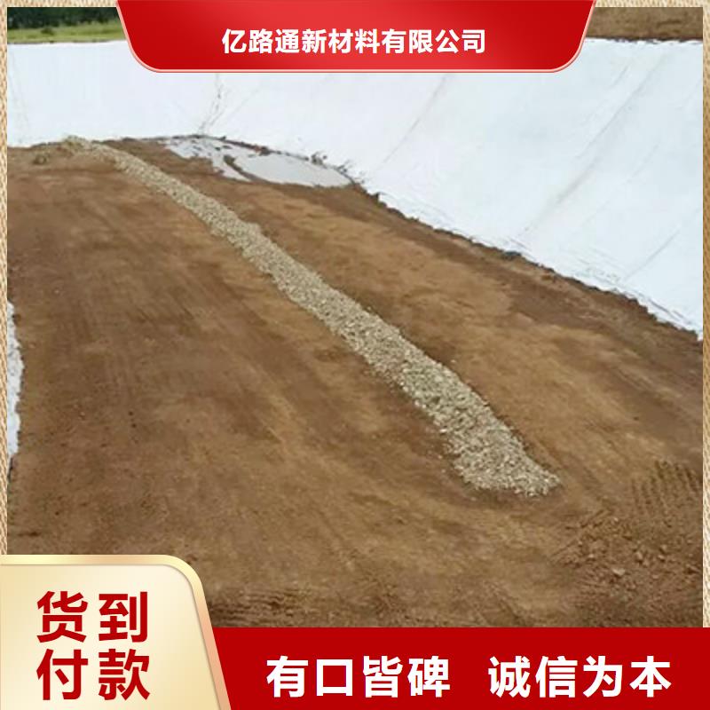 土工布【单向塑料土工格栅】精心打造
