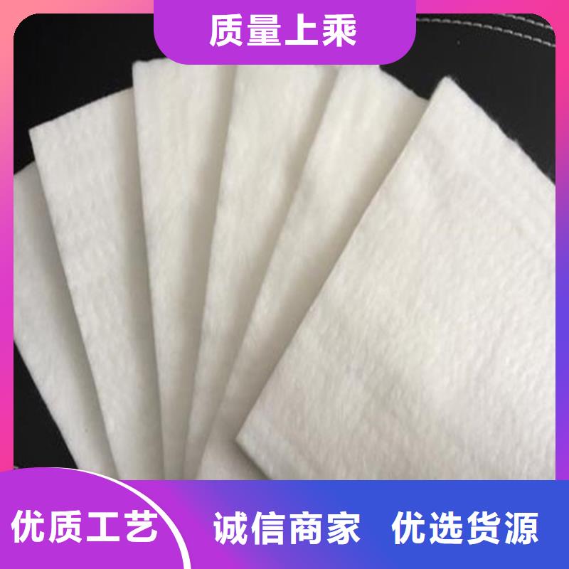 土工布【单向塑料土工格栅】精心打造