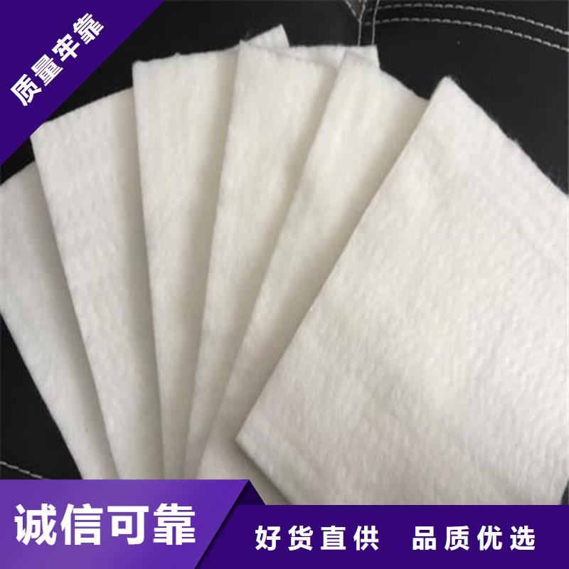 土工布玻璃纤维土工格栅专业生产团队