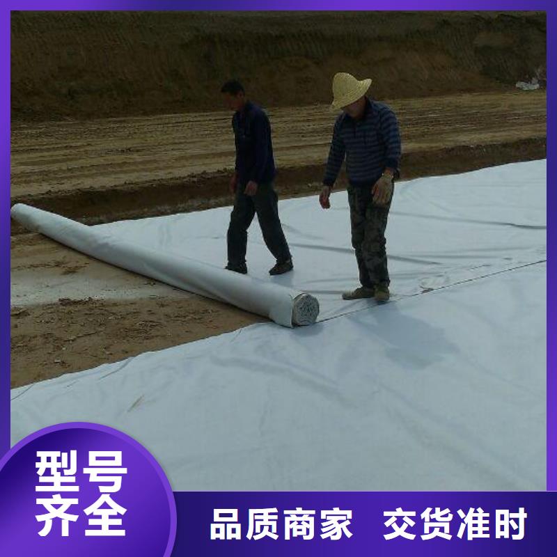 土工布膨润土防水毯厂家供应