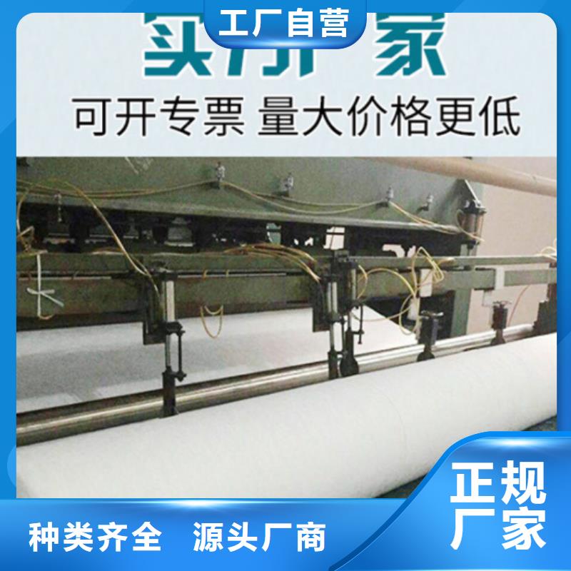 土工布双向塑料土工格栅专业的生产厂家