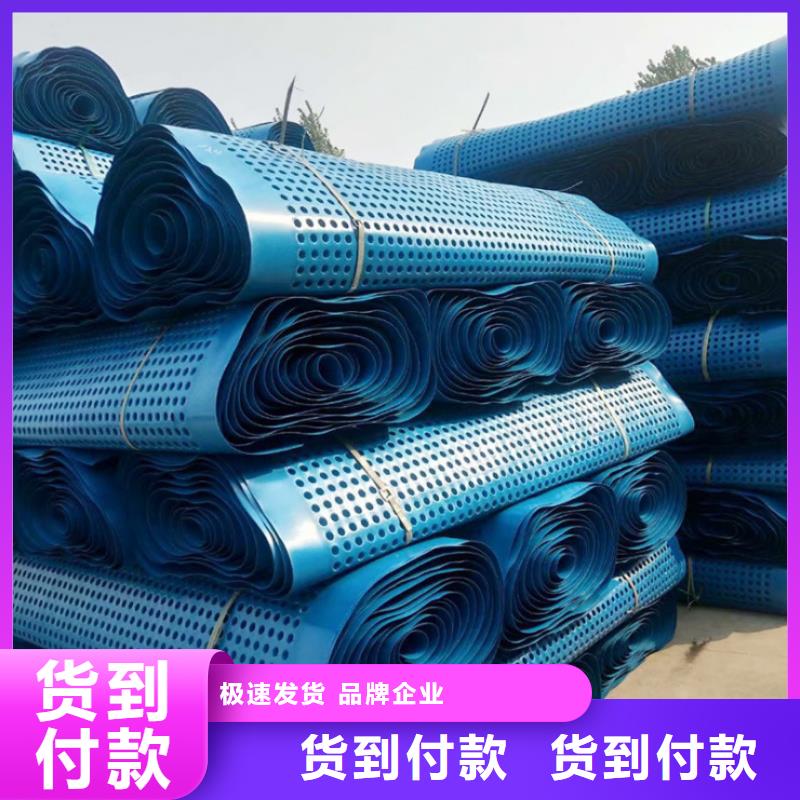 【塑料排水板HDPE土工膜实力厂家直销】