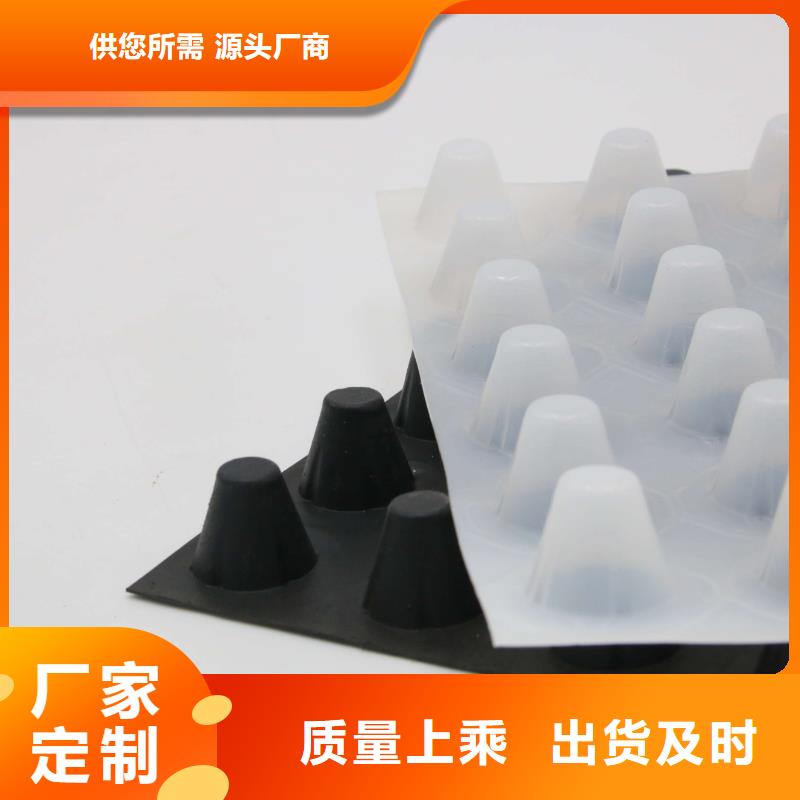 【塑料排水板HDPE土工膜实力厂家直销】