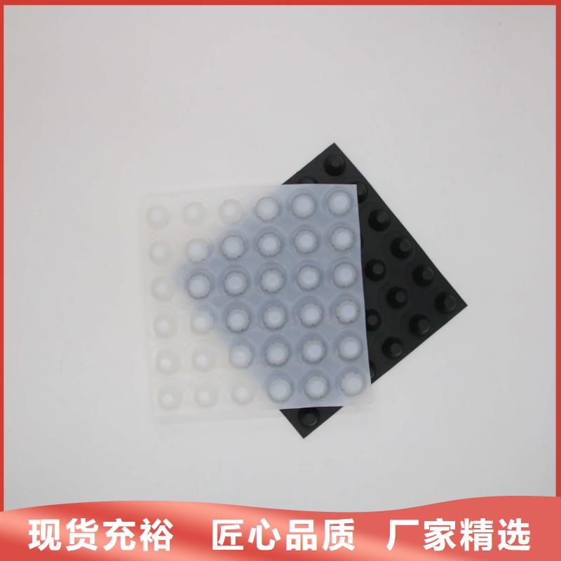 塑料排水板玻纤土工格栅多种规格供您选择