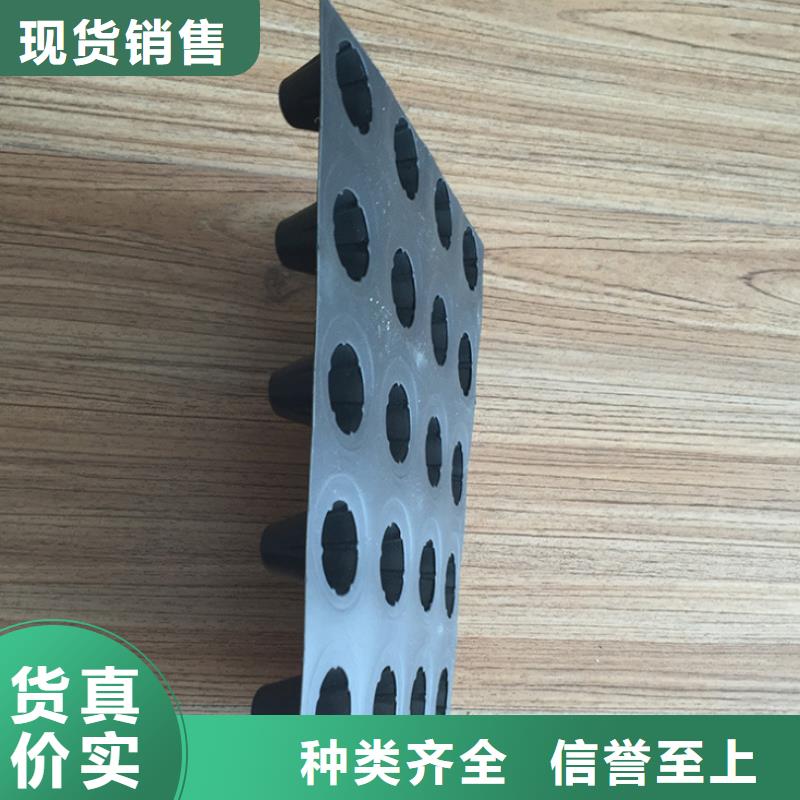 【塑料排水板HDPE土工膜实力厂家直销】