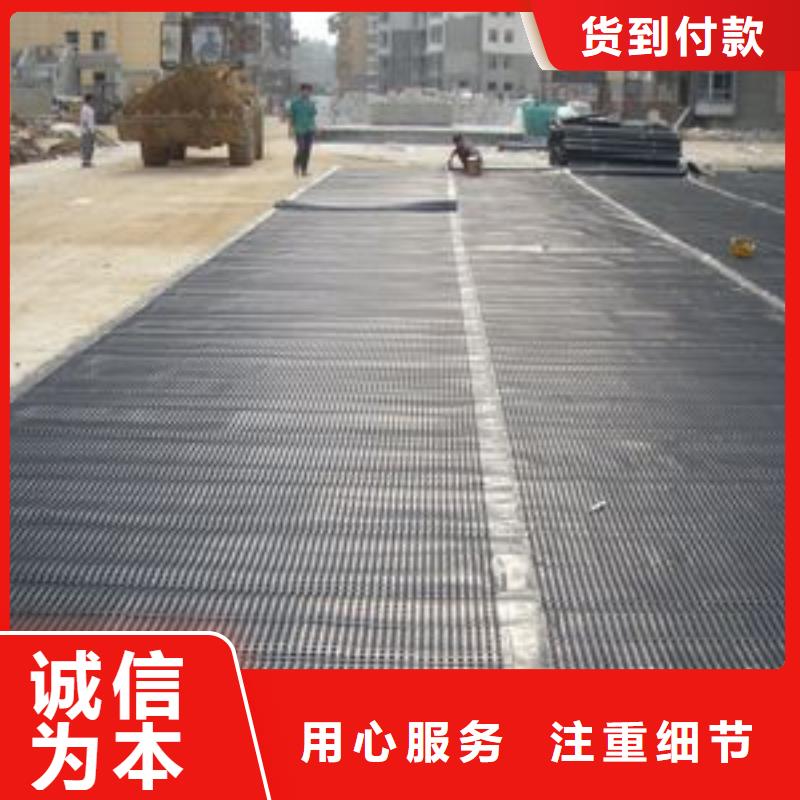 塑料排水板三维土工网垫专心专注专业