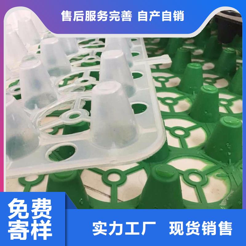 塑料排水板【塑料盲沟】从源头保证品质