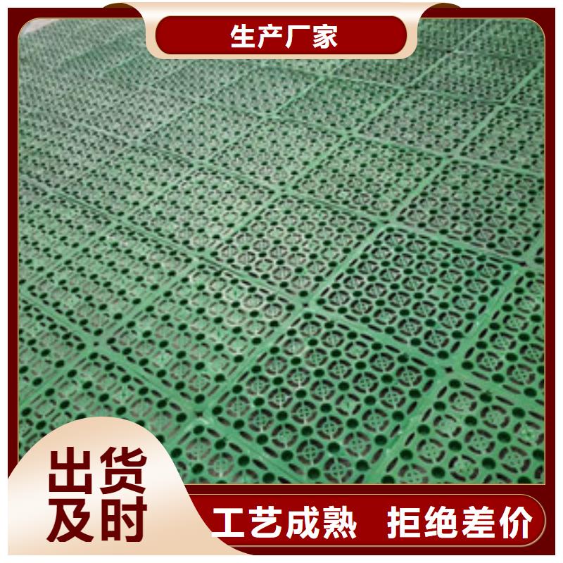 塑料排水板【三维水土保护毯】长期供应